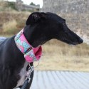 Martingale Donuts Rosa